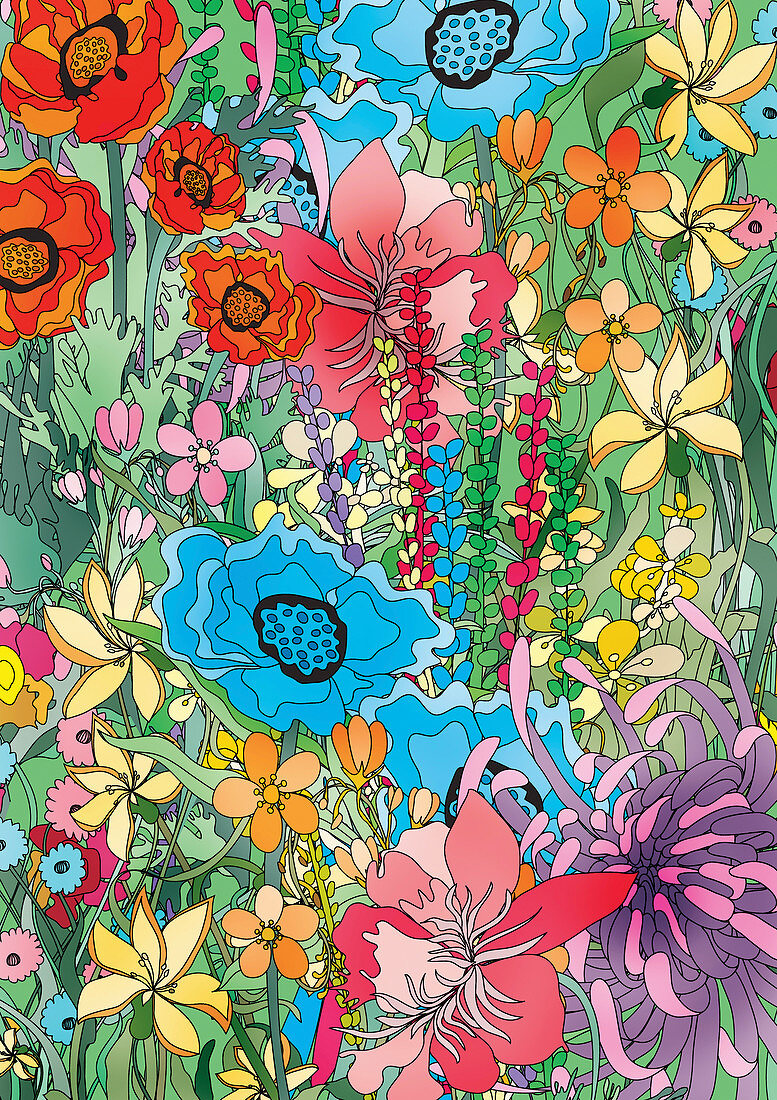 Flowers, illustration