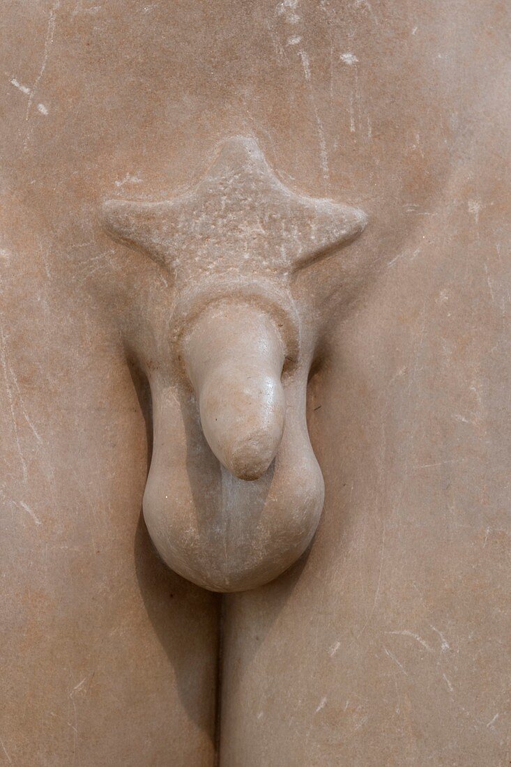 Genitals of Greek Kouros figure
