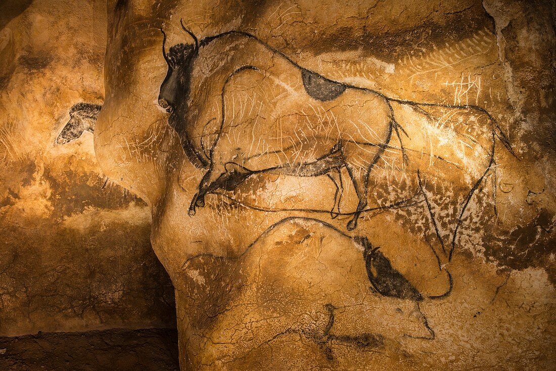 Large bison cave drawing, Chauvet Cave replica, France