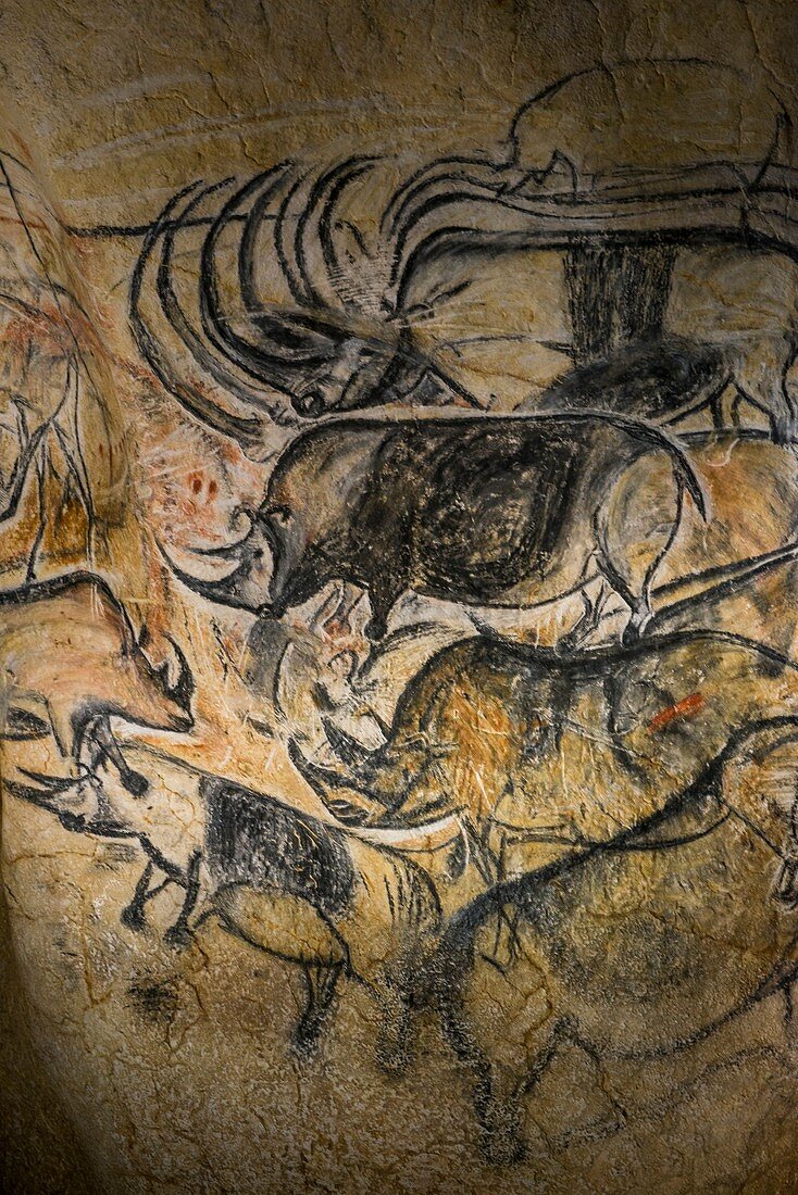 Rhinoceros cave art, Chauvet Cave replica, France