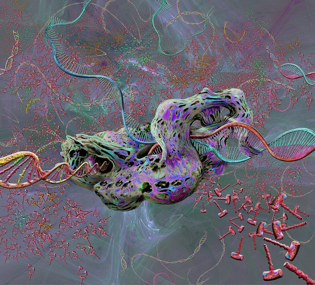 DNA transcription, illustration