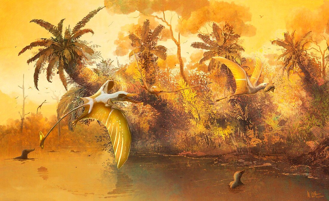 Klobiodion pterosaurs, illustration