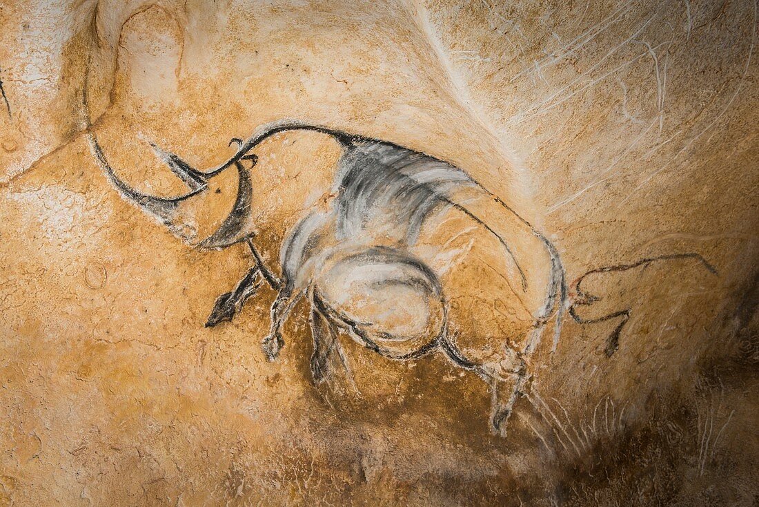 Rhinoceros artwork, Chauvet Cave replica, France