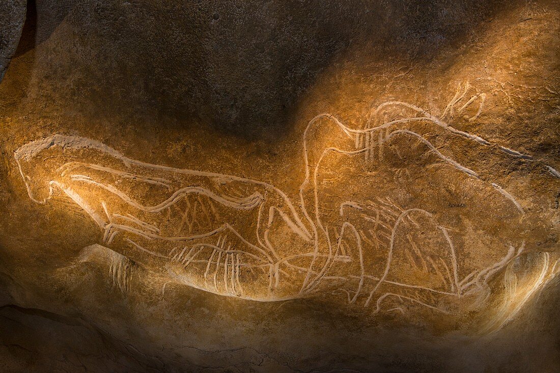 Horse engraving, Chauvet Cave replica, France