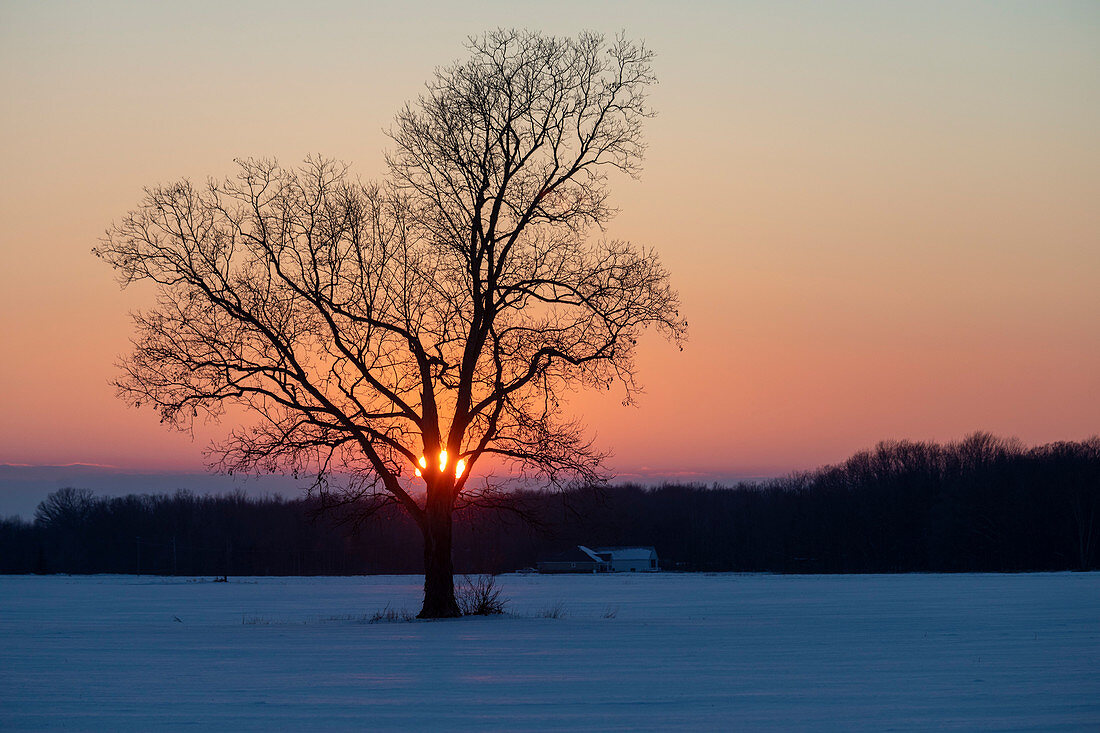 Winter sunset over a Michigan farm, USA