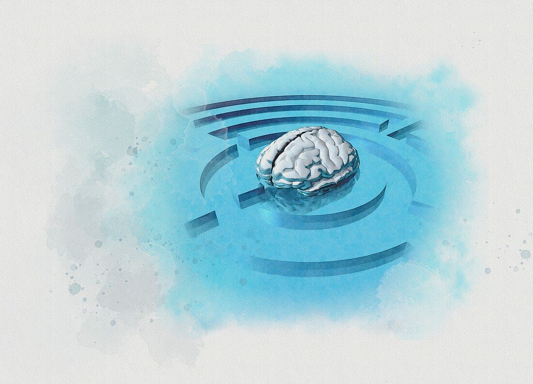Human brain in maze, illustration