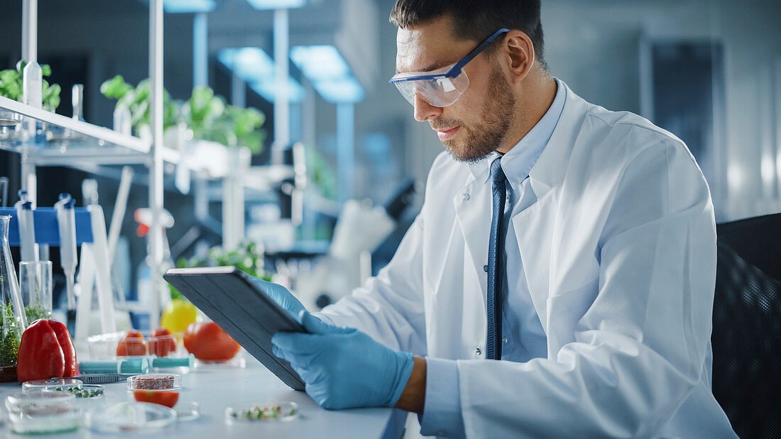 Scientist working on digital tablet computer