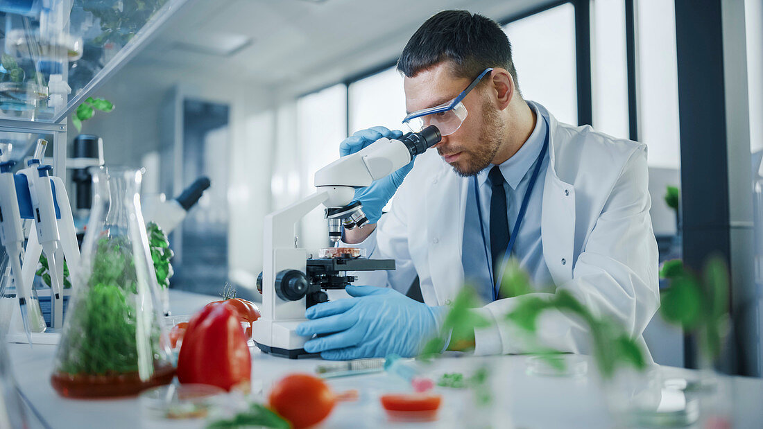 Scientist looking at a lab-grown meat under microscope