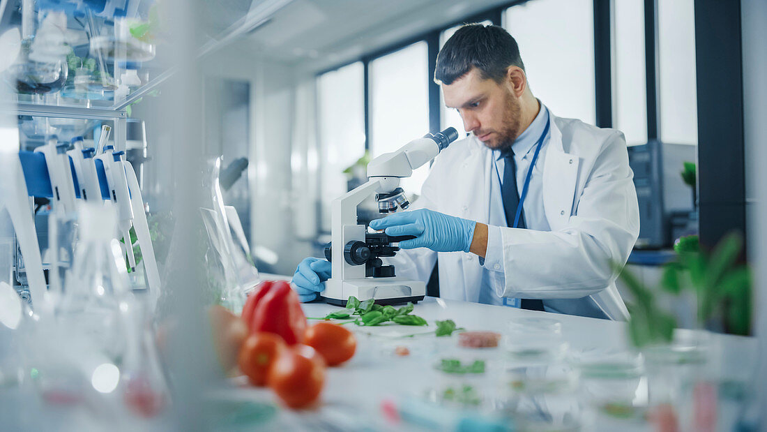 Scientist puts lab-grown vegan meat sample under microscope