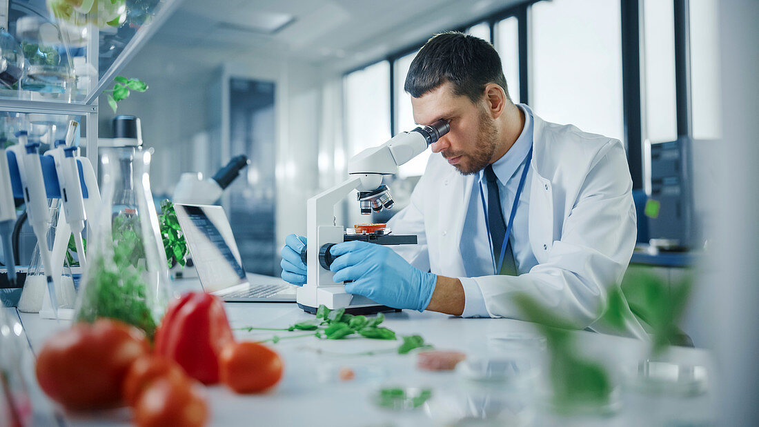 Scientist working on a computer