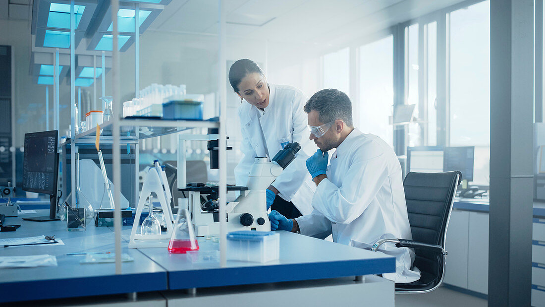 Two scientists working in a laboratory