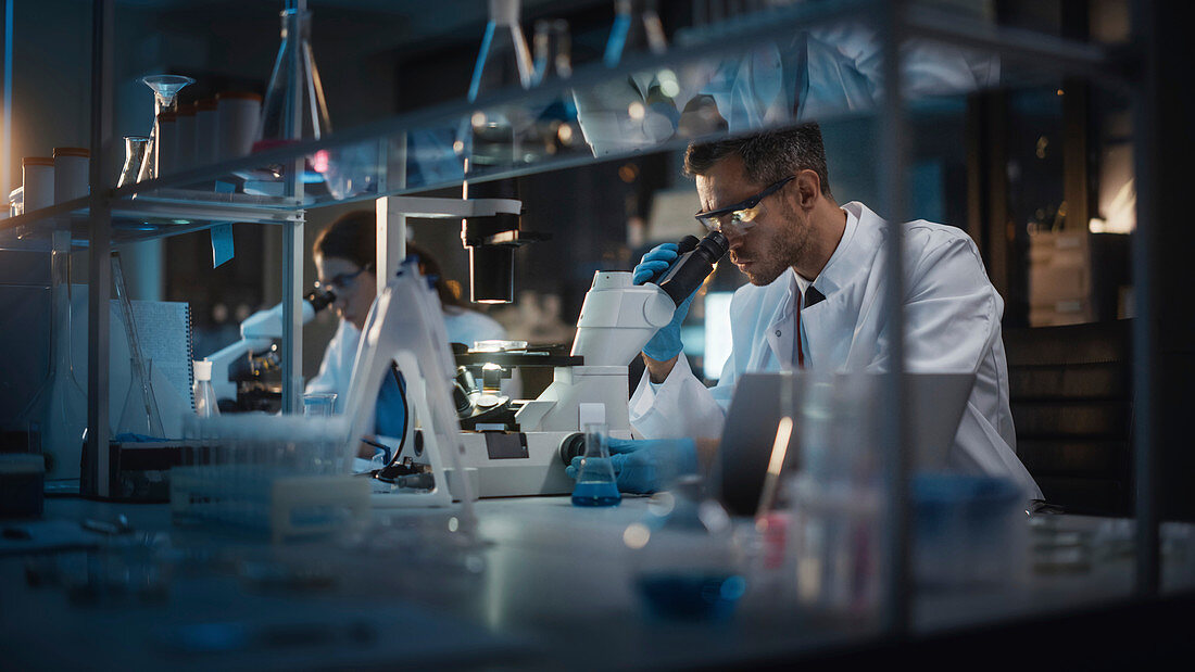 Scientists working in a laboratory