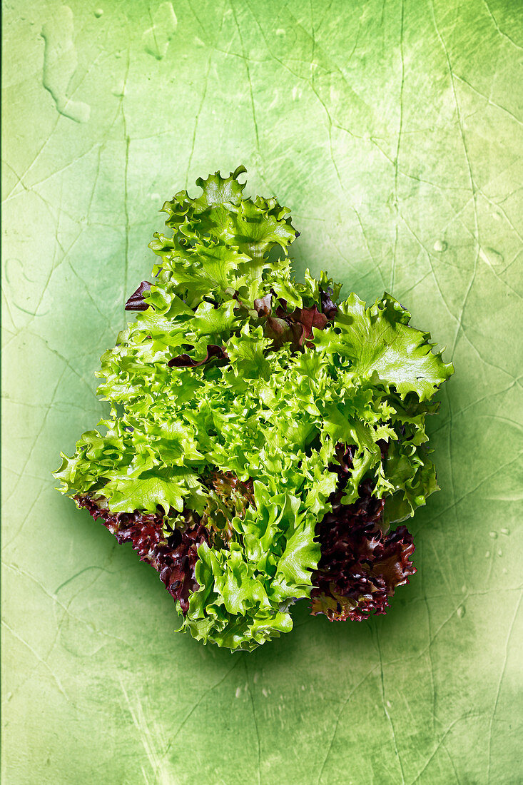 Frischer Salat auf grünem Untergrund