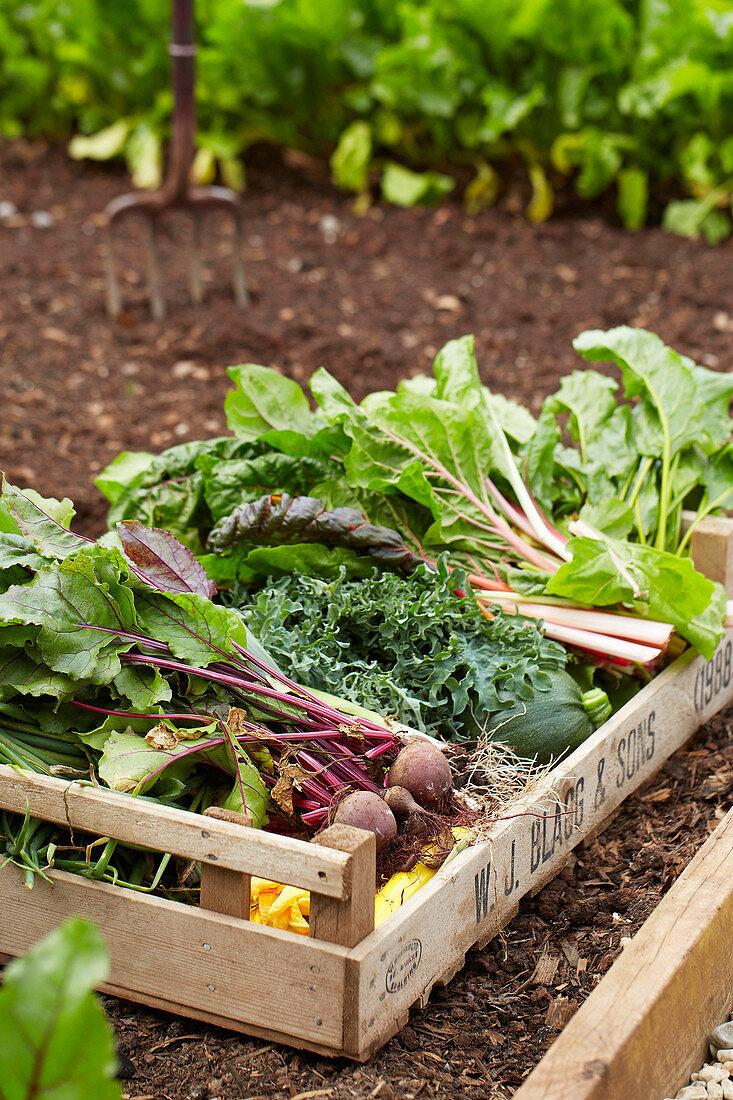 Fresh produce used in the restaurant at The Pig Hotel Near Bath