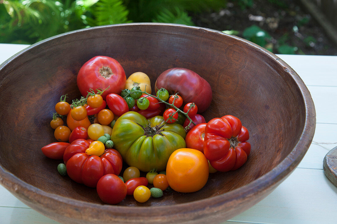 Verschiedene Heirloom Tomaten in einer Schüssel