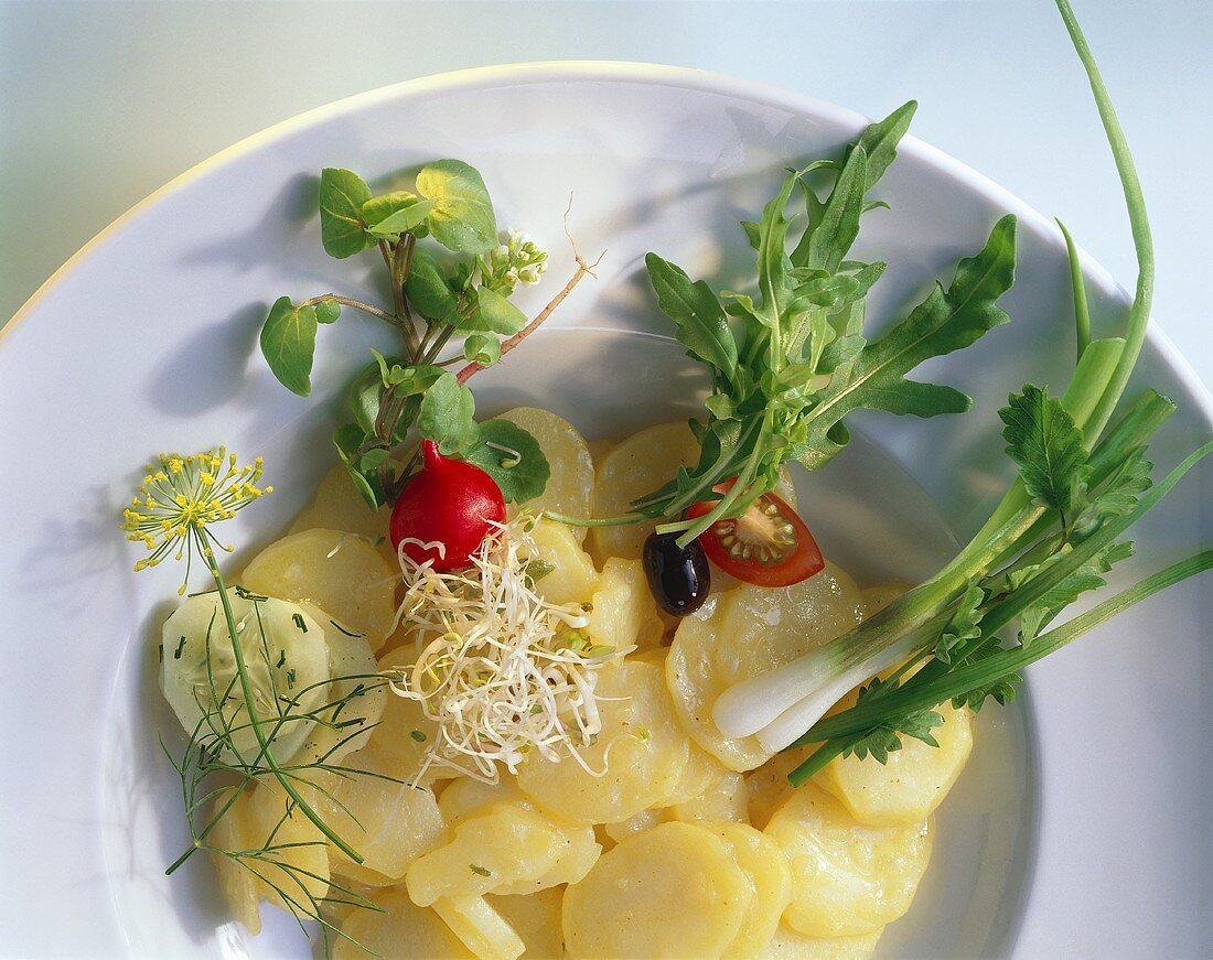 Potato salad with herb & vegetable variations