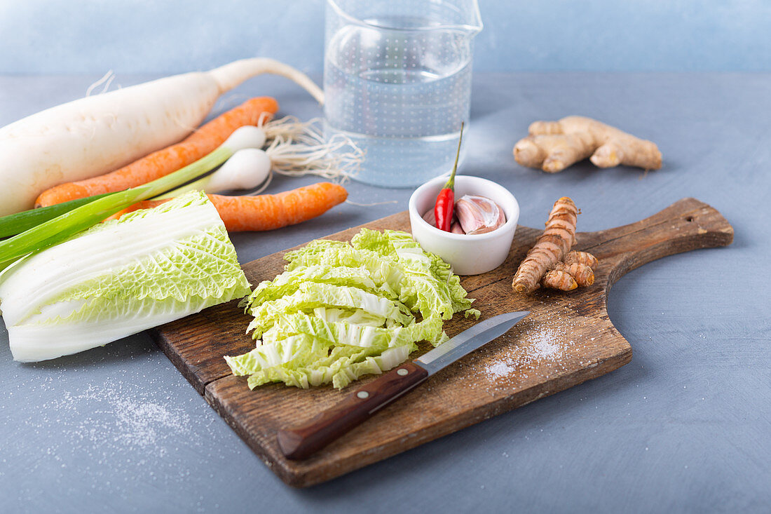 Ingredients for kimchi