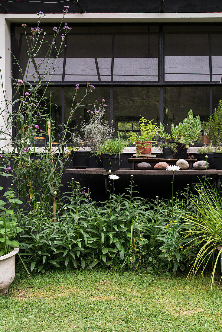 Garden with a potting table in front of window