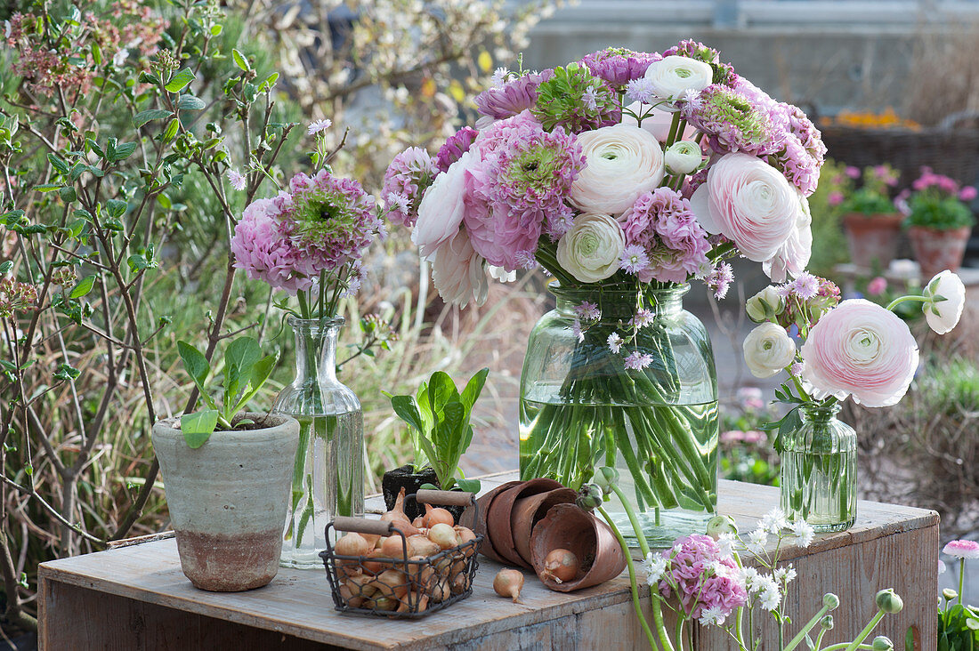 Spring bouquets with ranunculus and cuckoo carnations 'Petit Henry' 'Petit Jenny', basket with bulbs