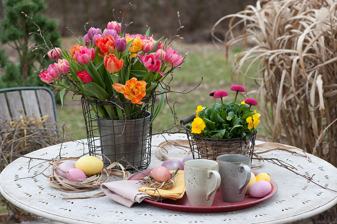 Osterstrauß aus gefüllt blühenden Tulpen und Topf mit Hornveilchen und Tausendschön in Drahtkörben auf dem Gartentisch