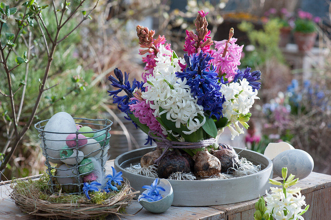 Easter bouquet of hyacinths with bulbs in a bowl with water, wire basket with Easter eggs in a wreath of moss and grasses