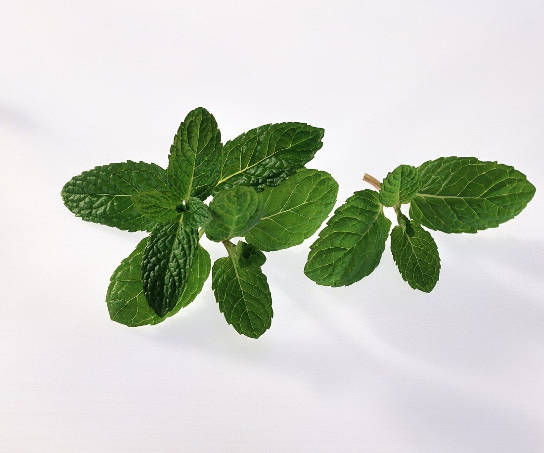 A few peppermint leaves