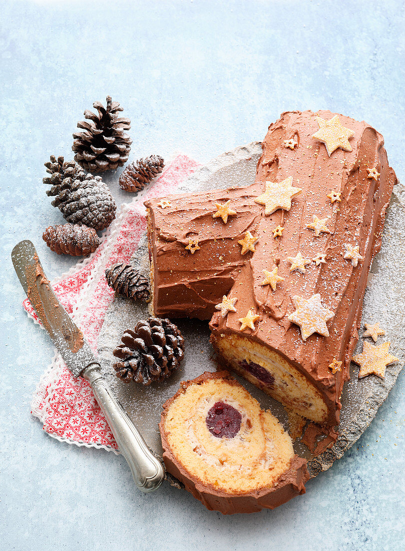 Chocolate Swiss roll 'Bûche de Noël'