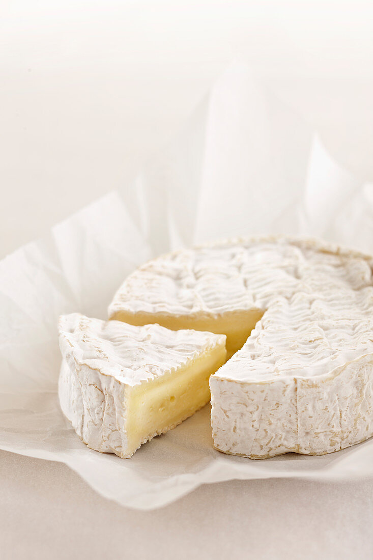 Camembert cheese in white paper