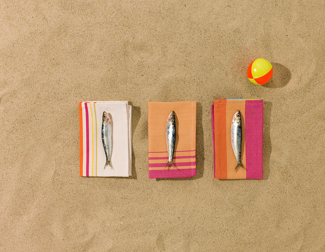 Sardinen liegen auf Strandtüchern am Strand (Symbolbild)