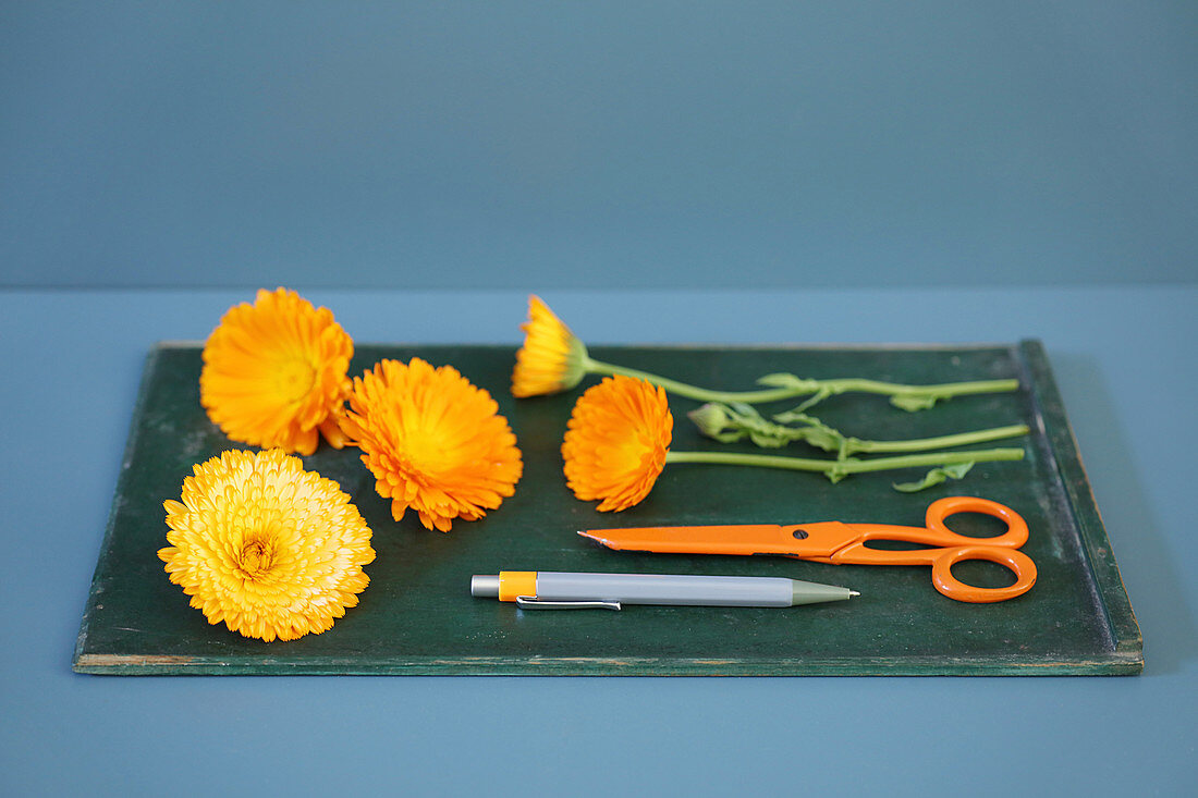 Pot marigolds