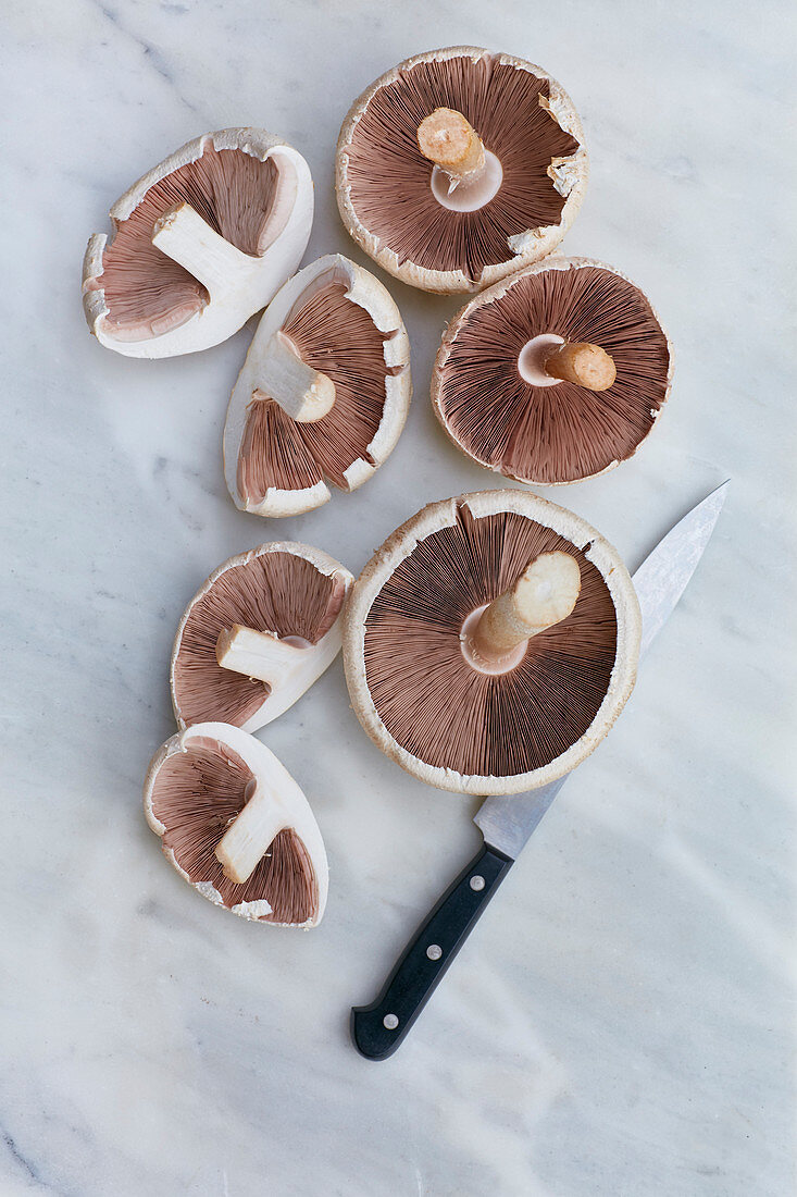 Wiesen-Champignons auf weißem Marmoruntergrund