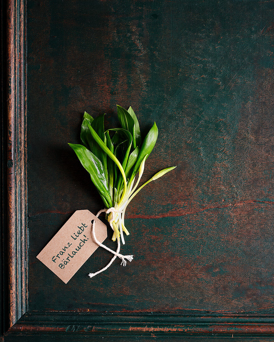 Bunch of wild garlic with a paper tag
