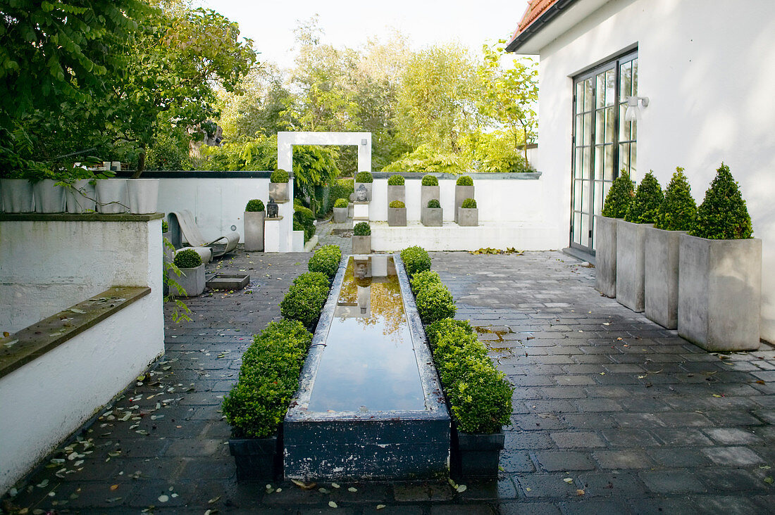 Raised pond edged by box bushes on terrace