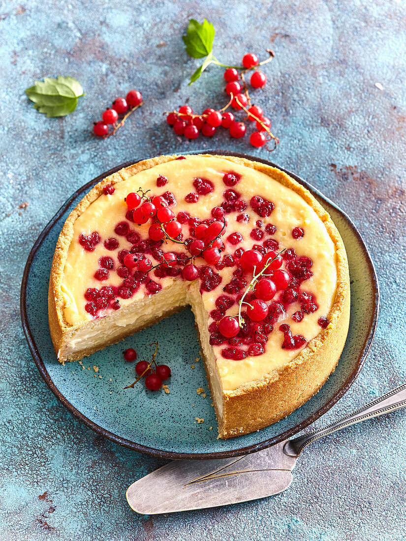 Cheesecake wirh red currant