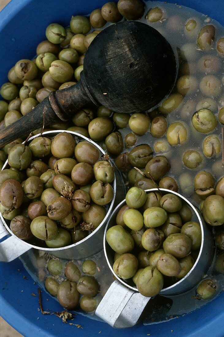 Olives in a Bucket