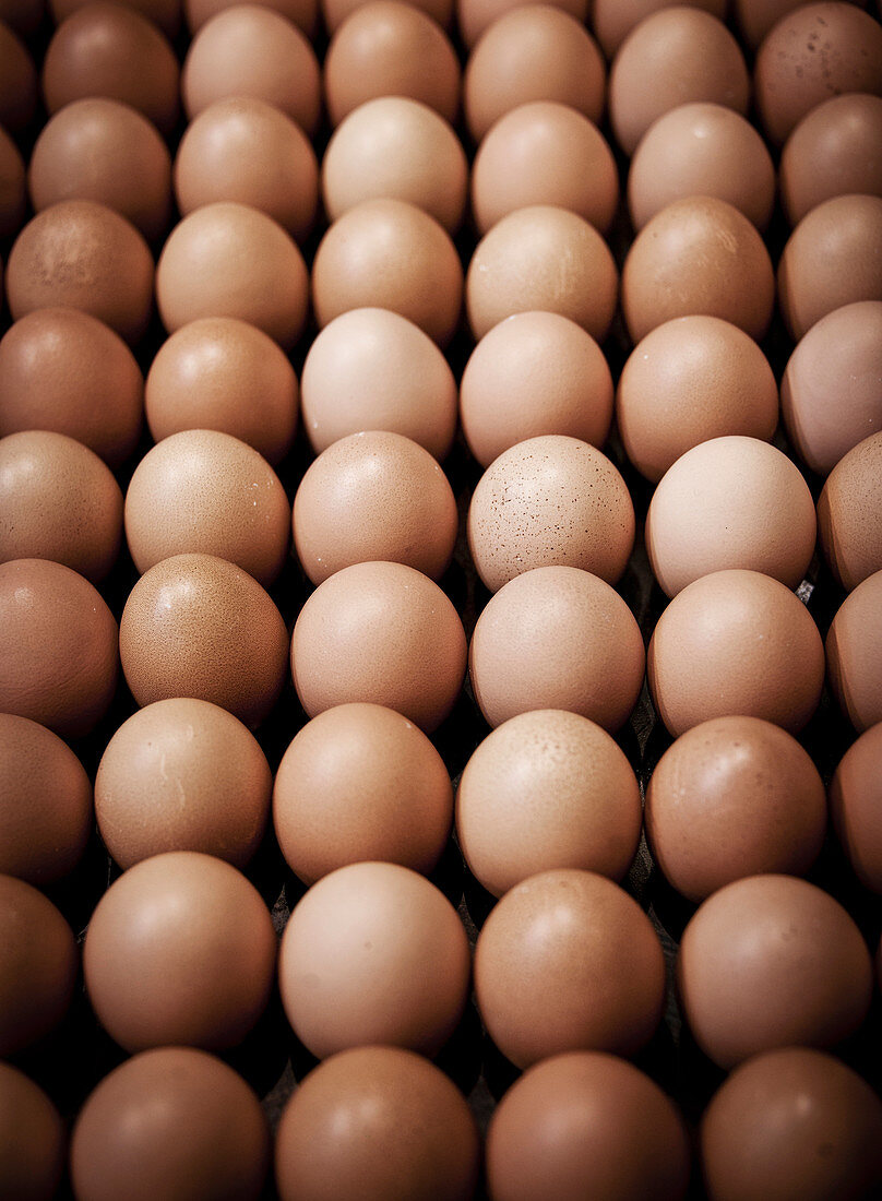Brown eggs stacked in rows in a French kitchen