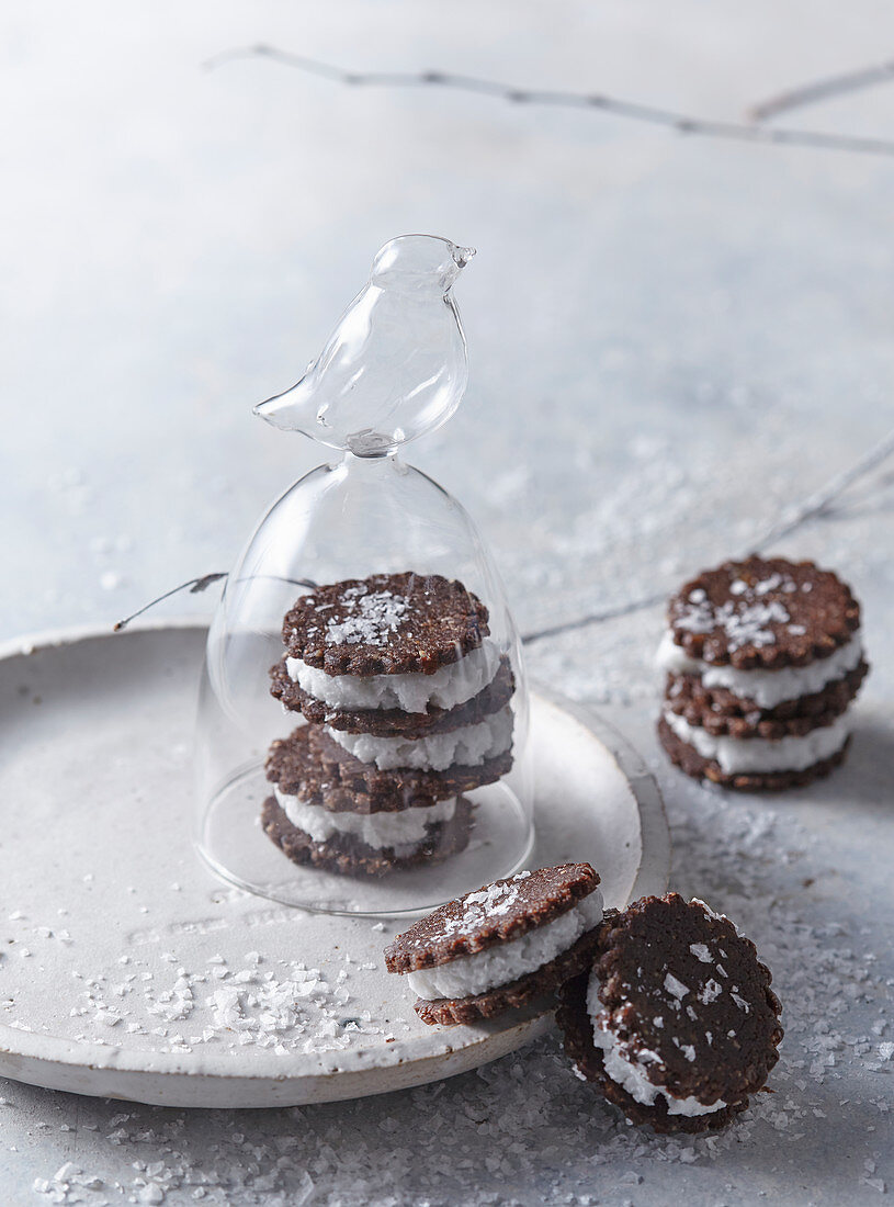 Gefüllte Kokosplätzchen (Raw Baking)