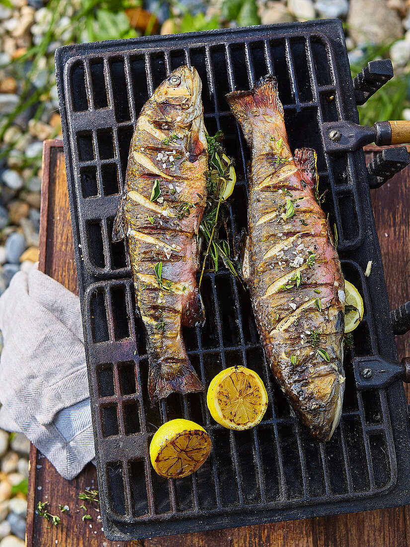 Grilled trouts with herbs and lemon