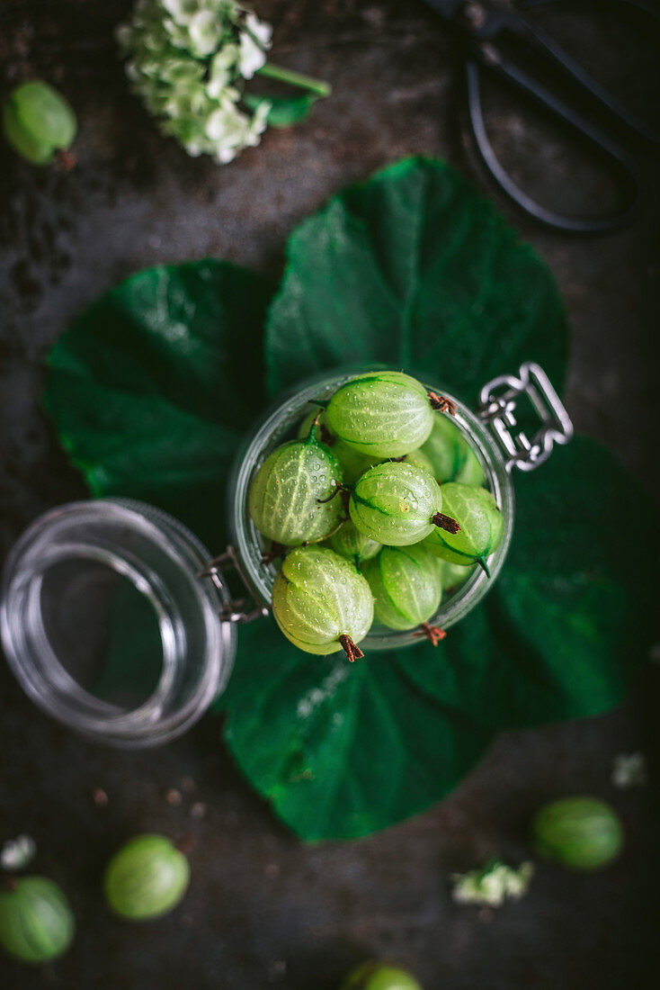 Gooseberries for gooseberry jam