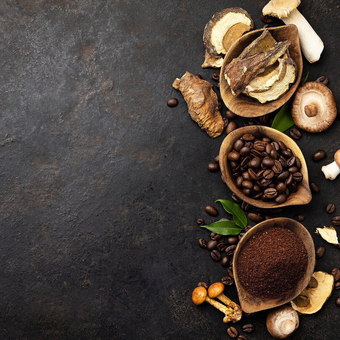 Ingredients for Chaga Mushroom Coffee