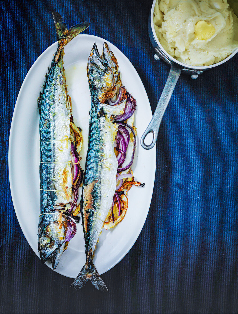 Grilled Mackerel stuffed with red onion and apple served with horseradish mashed potato