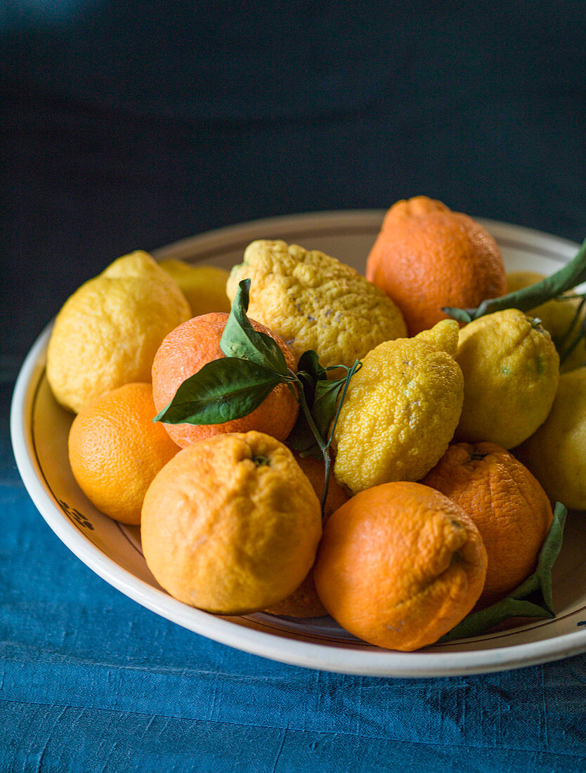 Sicilian citrus fruit cedro lemon and oranges