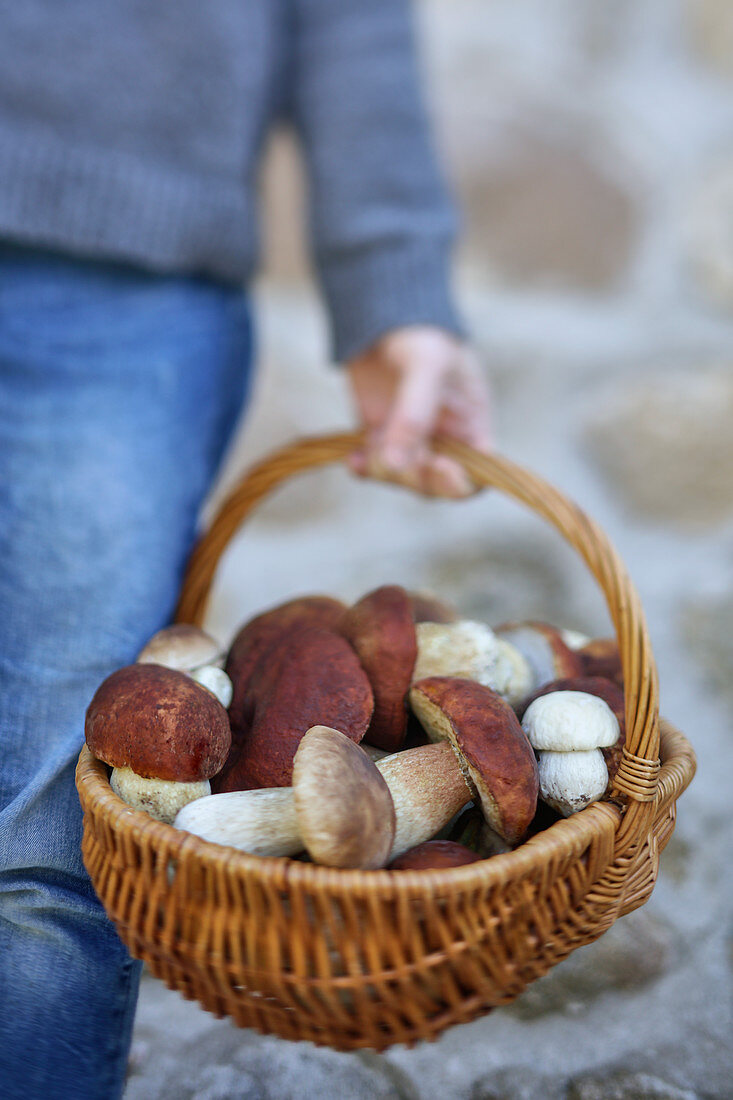 Person holding basket of porcini mushrooms