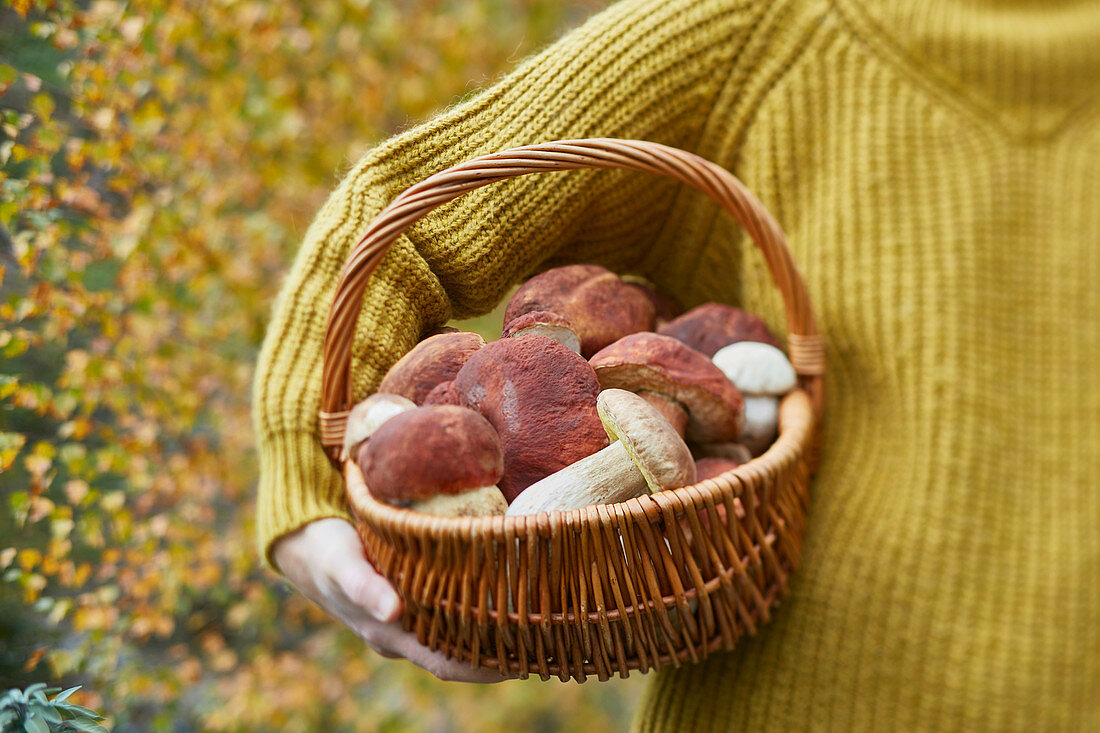 Woman holding basket with porcini mushrooms