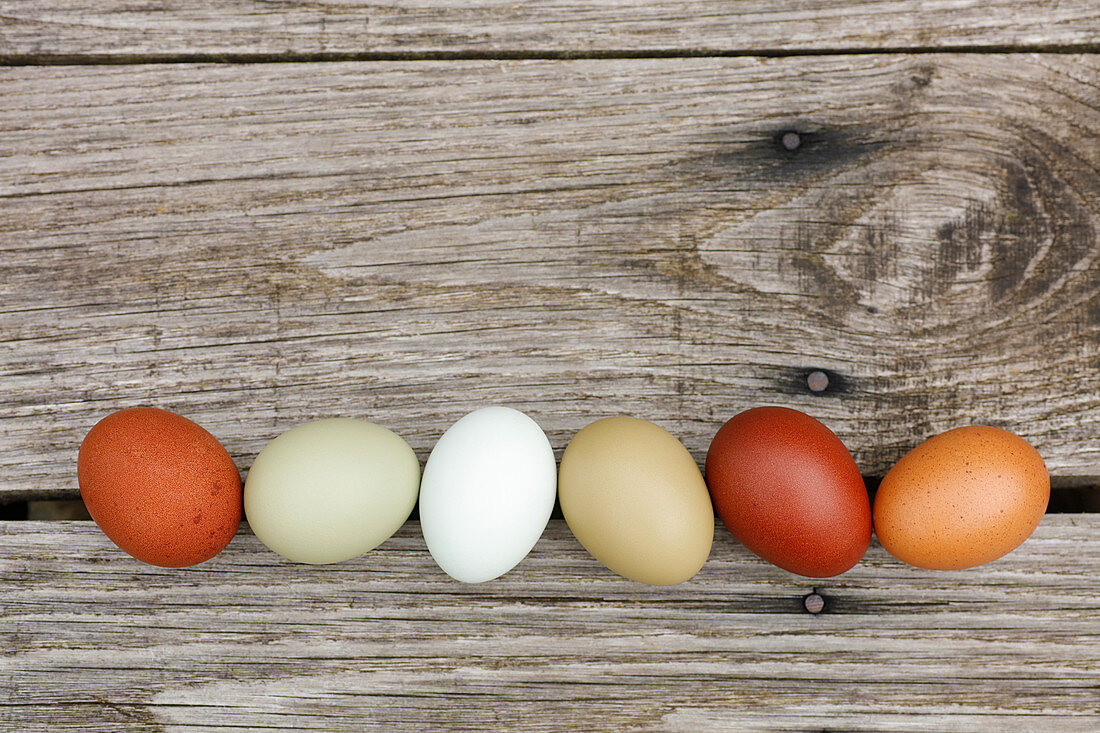 Sechs naturfarbene Eier auf Holzbrett