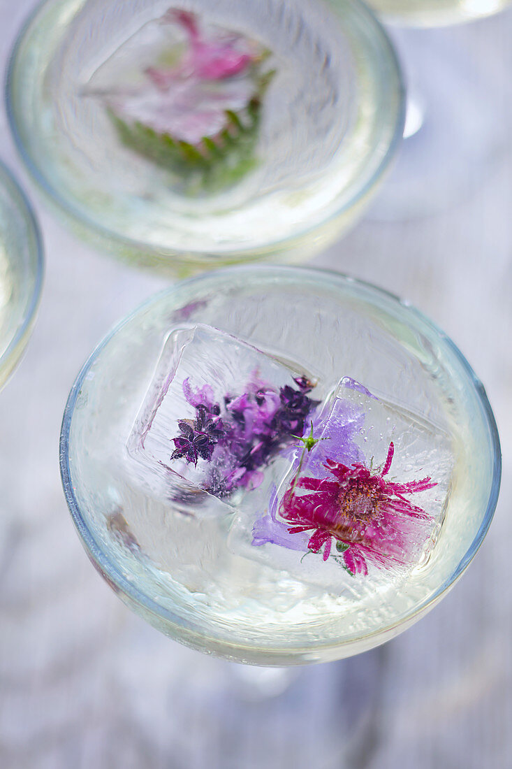 Zwei Cocktails mit Blüteneiswürfeln