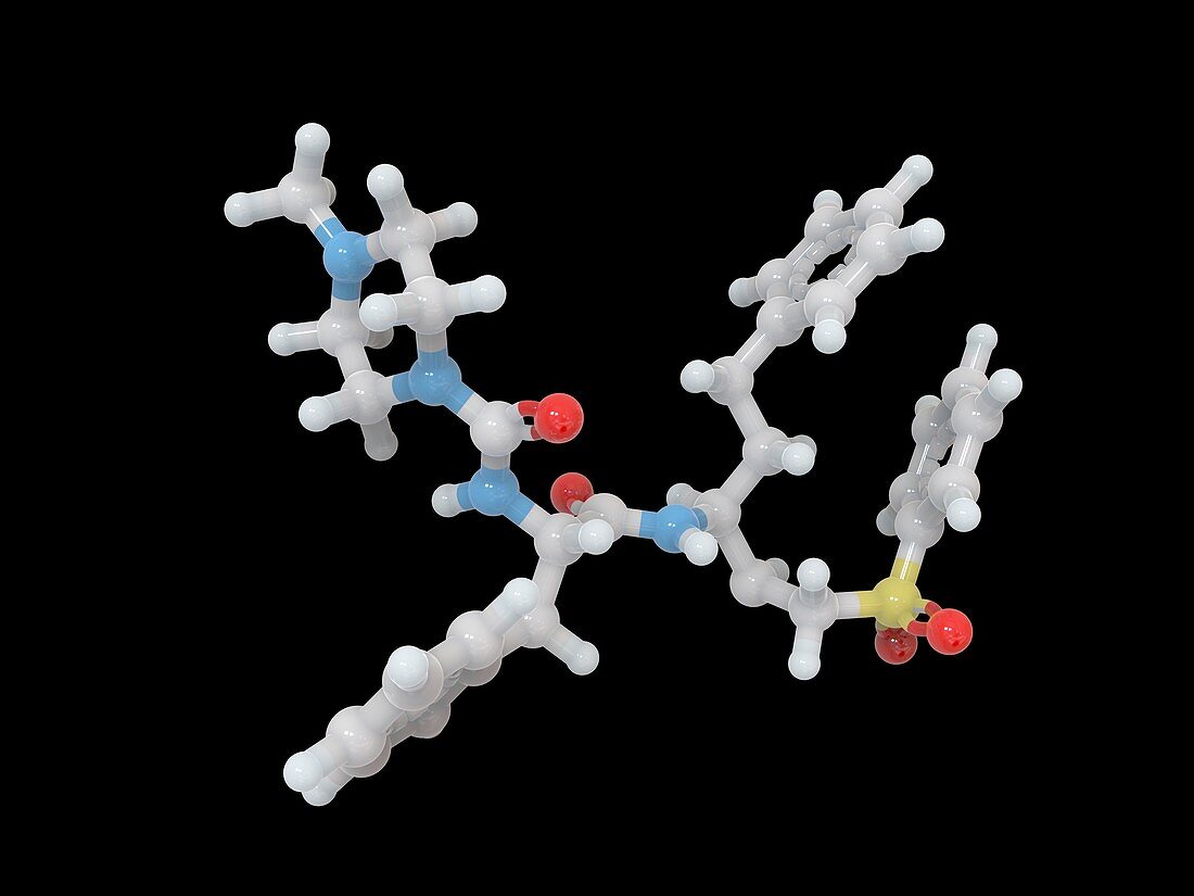 K777 cysteine protease inhibitor, molecular model