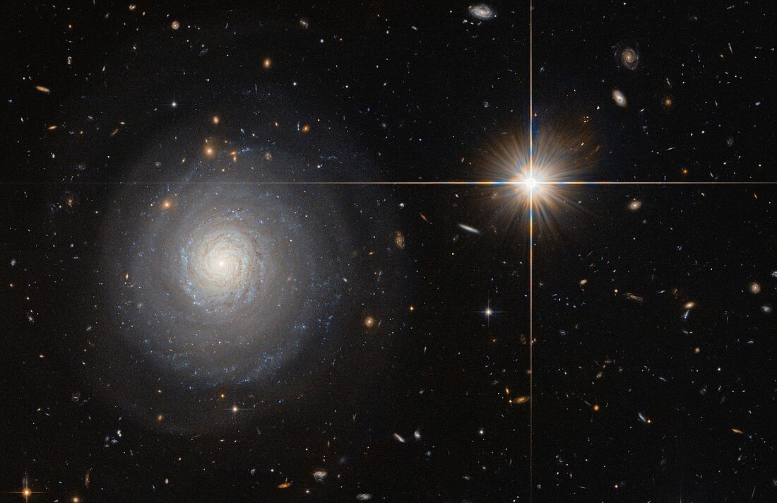 Starburst galaxy, HST image