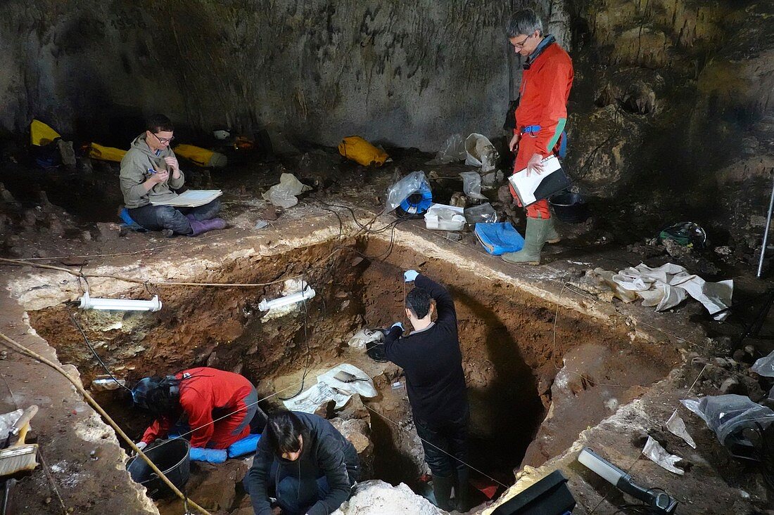 Excavations at Cueva Mayor fossil site, Spain