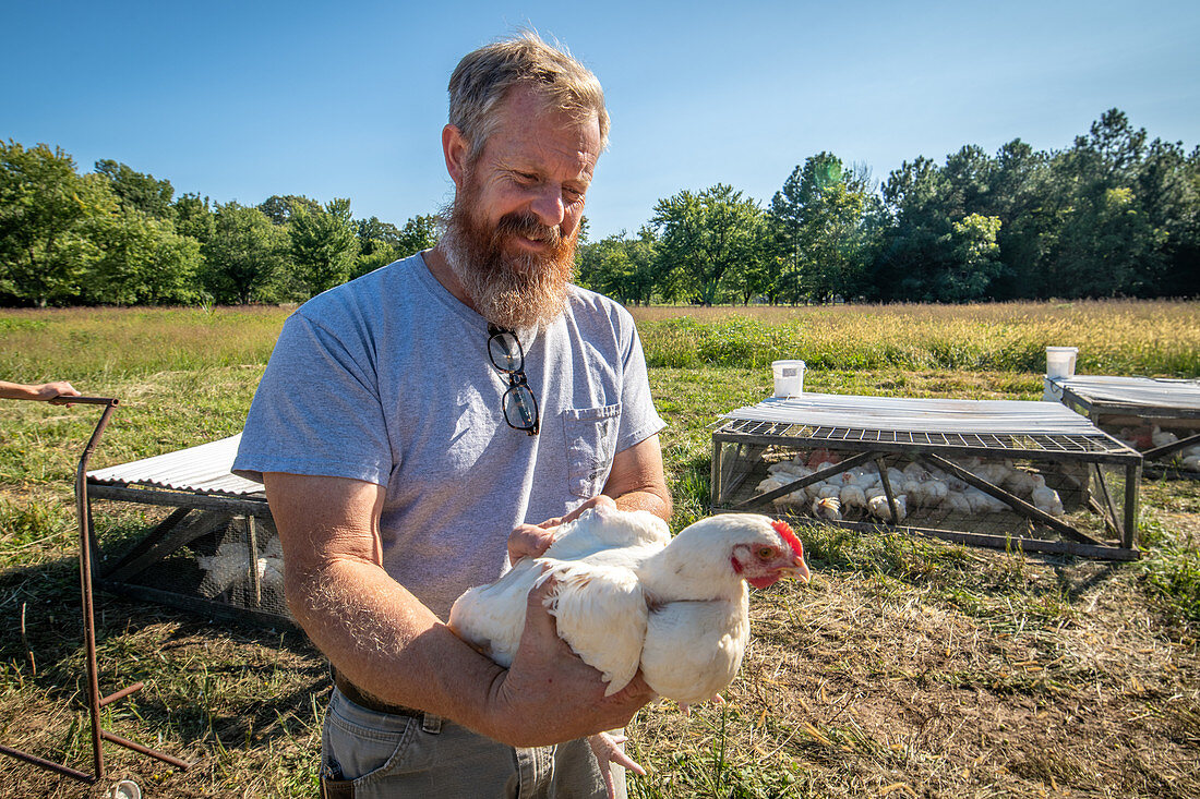 Farmer holding a chicken